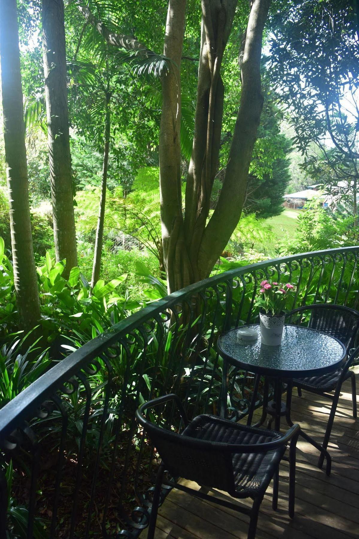 Chalet On Gallery Walk - King Bed, Spa, Fireplace, Wifi & Netflix, Linger A While Mount Tamborine Bagian luar foto