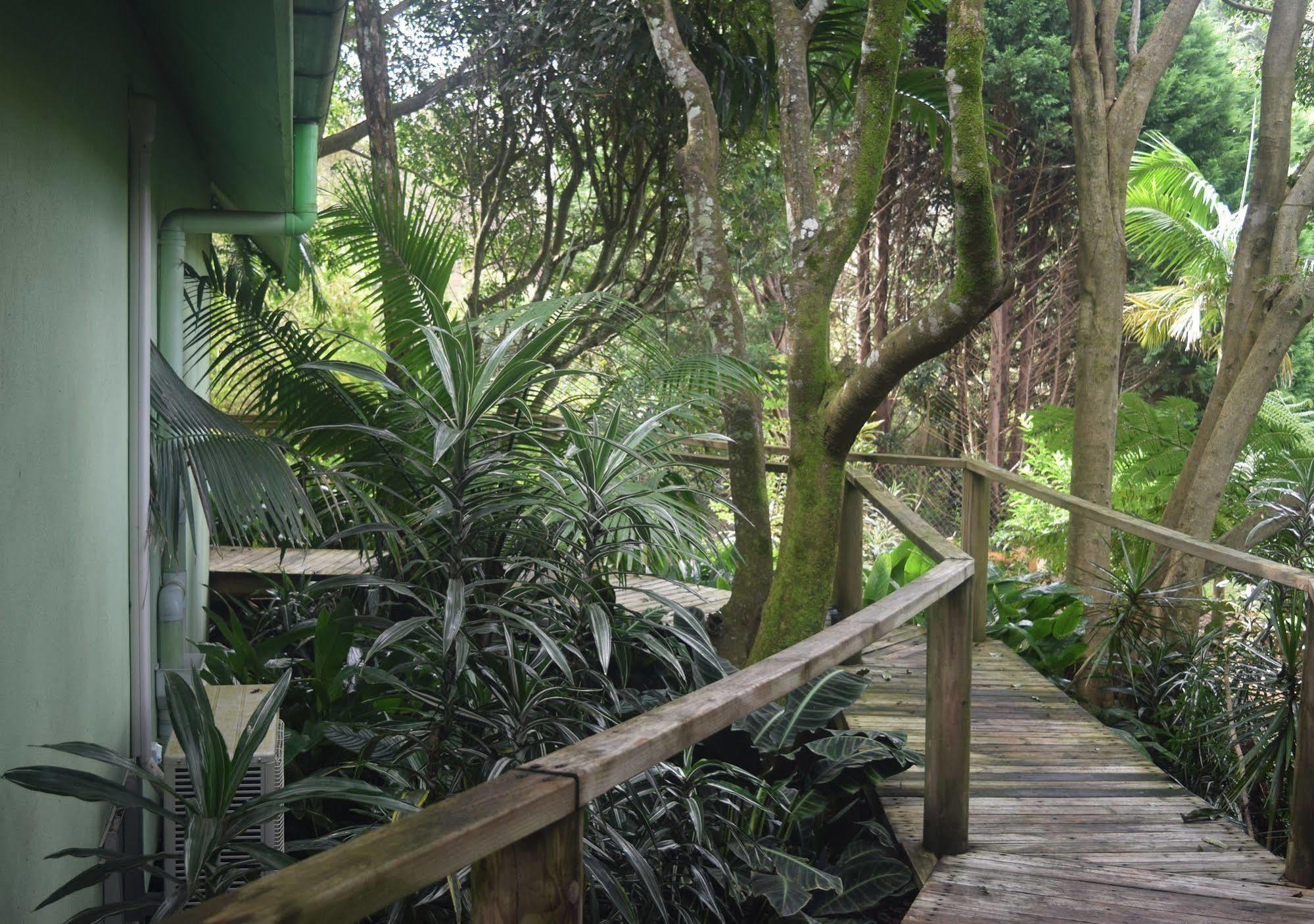 Chalet On Gallery Walk - King Bed, Spa, Fireplace, Wifi & Netflix, Linger A While Mount Tamborine Bagian luar foto